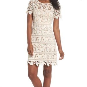 Eliza J lace crochet overlay mini dress